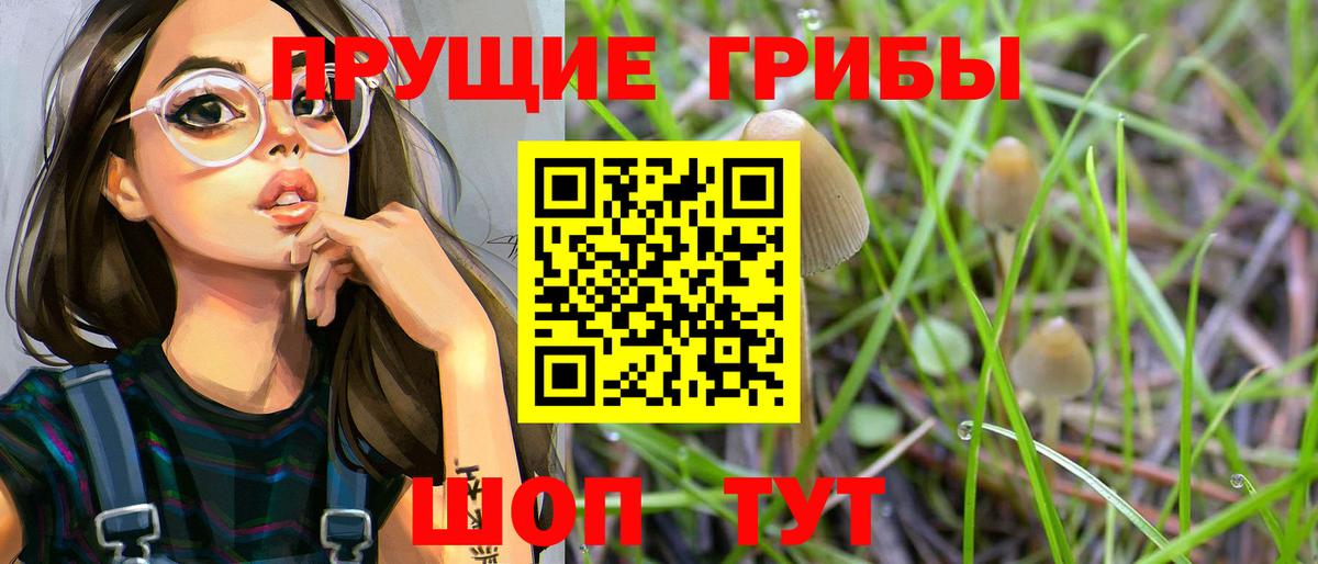 Псилоцибиновые грибы мухоморы  Вход с VPN  купить закладку  Псилоцибиновые грибы Cubensis  Вышний Волочёк 
